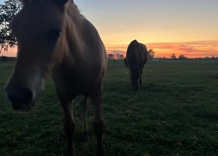 Zameczek- Na Wsi Ruciane-nida Zameczek